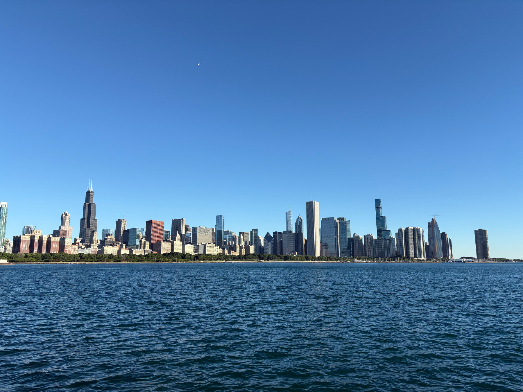 A city skyline with tall buildings is visible across the water under a clear blue sky.